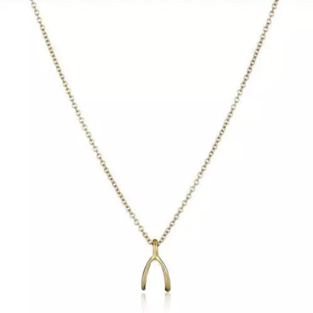 3 for $15 gold wish bone necklace